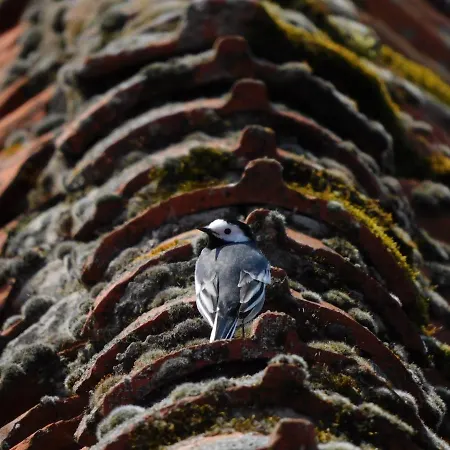 In Der Wassermuehle Melle