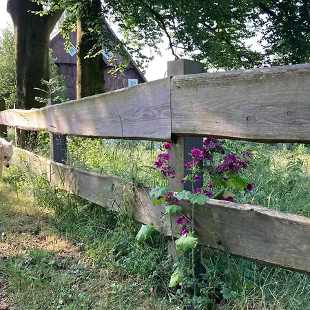 Apartament In Der Wassermuehle Melle